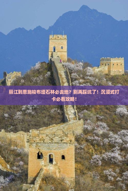 丽江到恩施梭布垭石林必去地