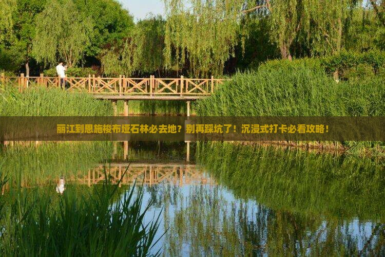 丽江到恩施梭布垭石林必去地