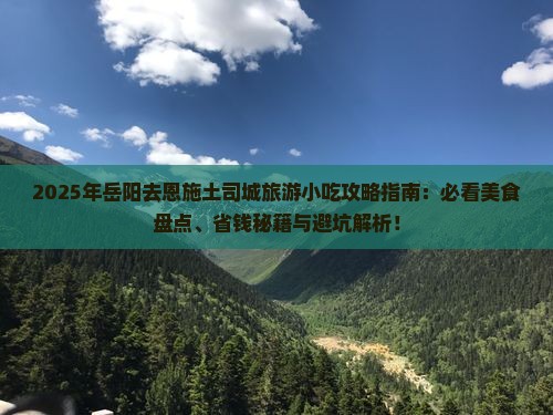 岳阳去恩施土司城旅游小吃