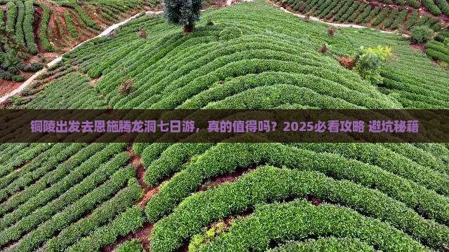 铜陵到恩施腾龙洞七日游