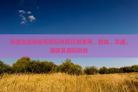 海南去恩施梭布垭石林四日游