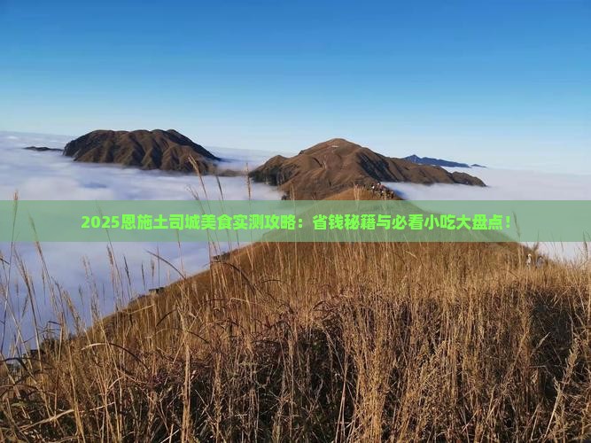 和田去恩施土司城旅游小吃