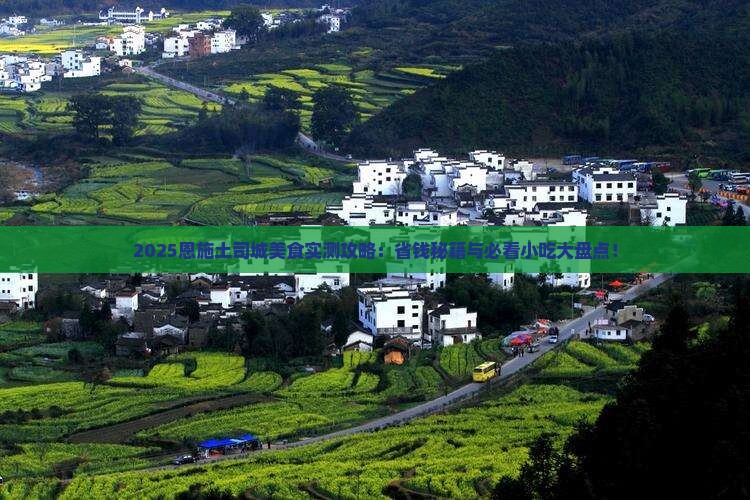 和田去恩施土司城旅游小吃
