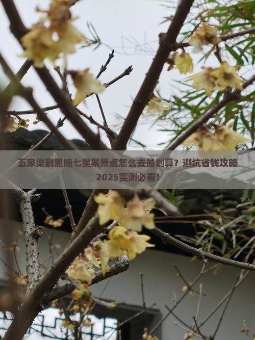 五家渠到恩施七星寨景点
