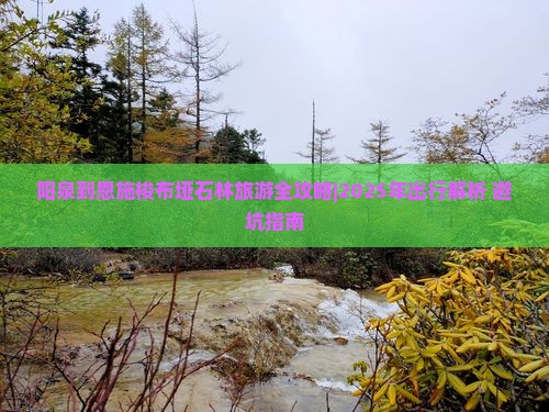 阳泉去恩施梭布垭石林个人游