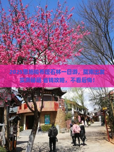 陇南到恩施梭布垭石林一日