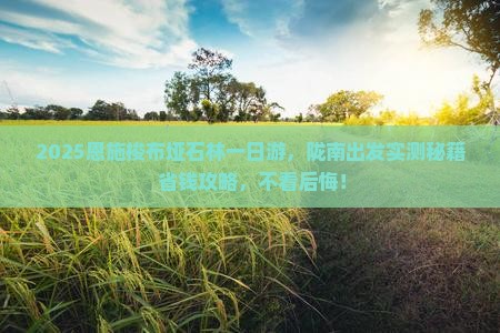 陇南到恩施梭布垭石林一日