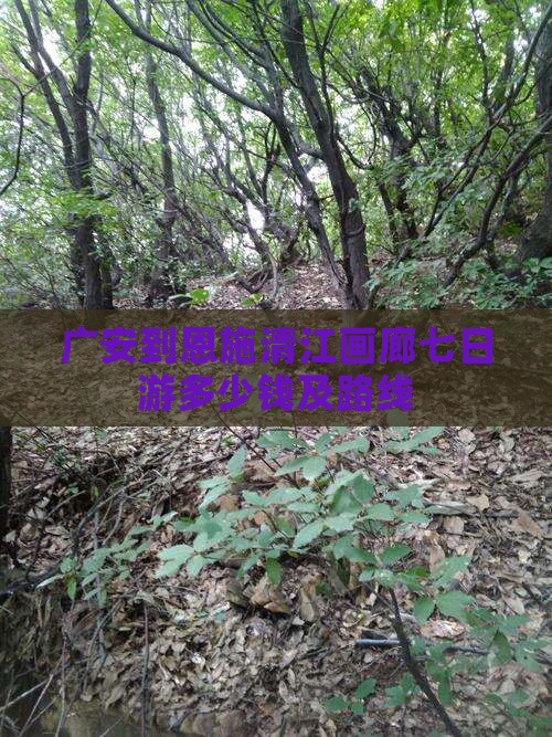 广安到恩施清江画廊七日游