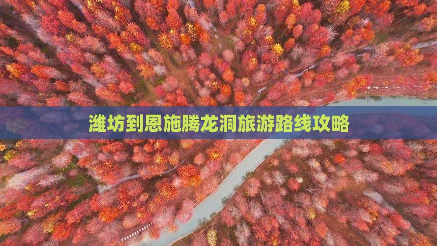 潍坊到恩施腾龙洞团体旅游