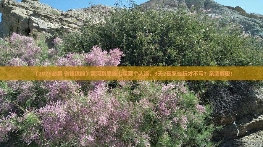 漯河到恩施七星寨个人游