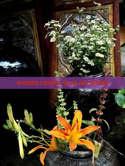 漳州到恩施土司城景点