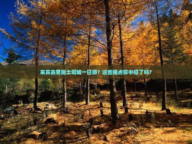 来宾去恩施土司城一日