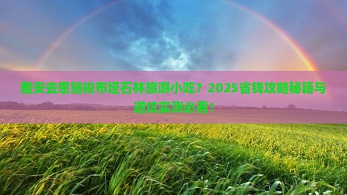 雅安去恩施梭布垭石林旅游小吃