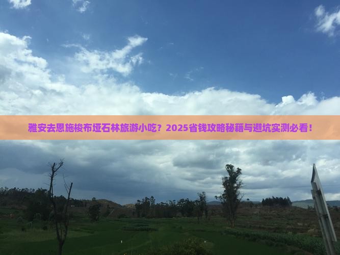 雅安去恩施梭布垭石林旅游小吃