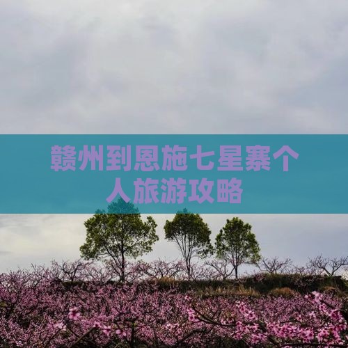 赣州到恩施七星寨个人游