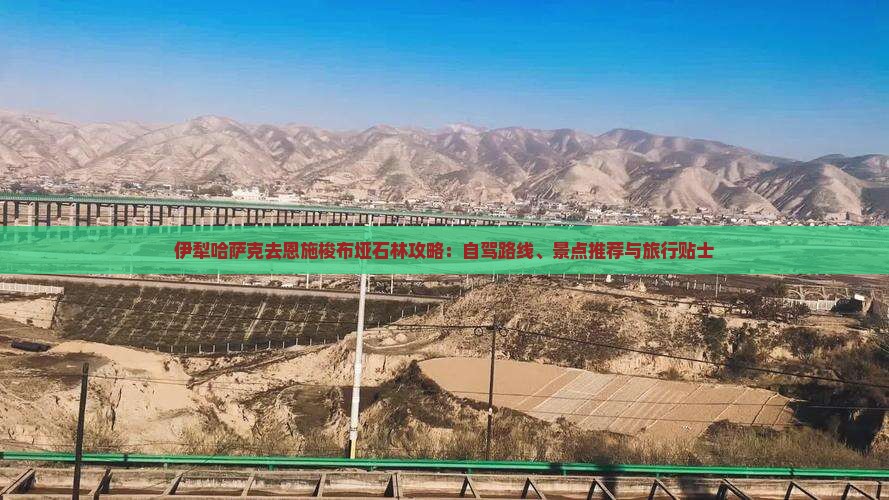 伊犁哈萨克去恩施梭布垭石林攻略