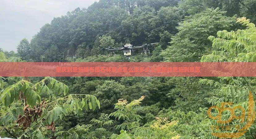 重庆到恩施梭布垭石林景点