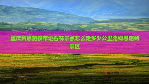 重庆到恩施梭布垭石林景点