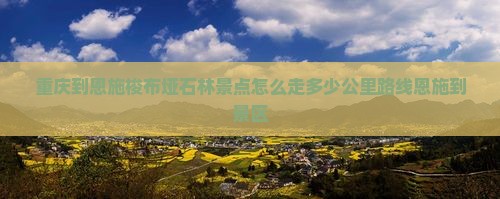 重庆到恩施梭布垭石林景点
