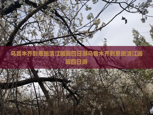 乌鲁木齐到恩施清江画廊四日游