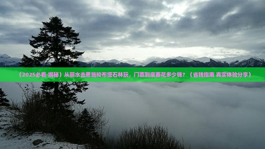 丽水到恩施梭布垭石林门票