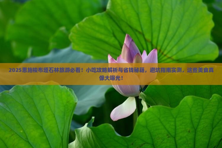 八月去恩施梭布垭石林旅游小吃