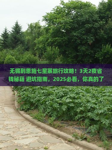 无锡到恩施七星寨旅行社