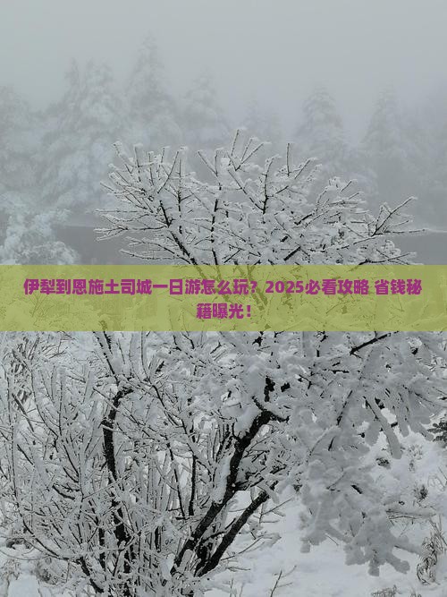伊犁到恩施土司城一日