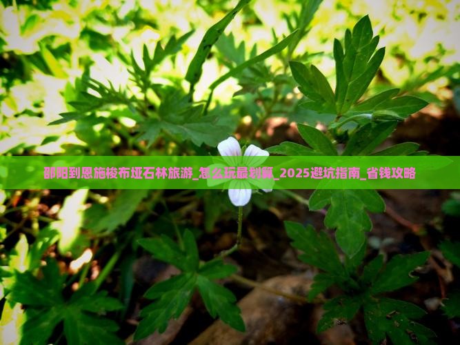 邵阳到恩施梭布垭石林旅游
