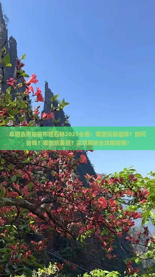 阜阳去恩施梭布垭石林哪里玩
