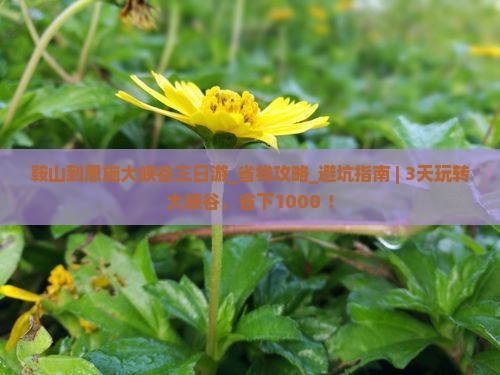 鞍山到恩施大峡谷三日游