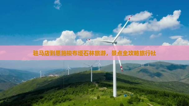 驻马店到恩施梭布垭石林旅行社