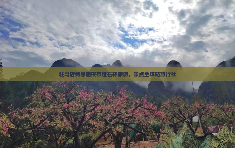 驻马店到恩施梭布垭石林旅行社