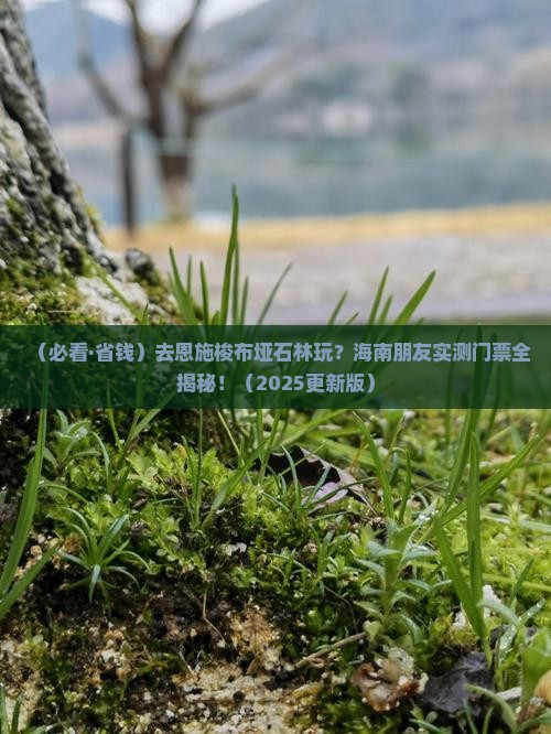 海南省直辖去恩施梭布垭石林门票
