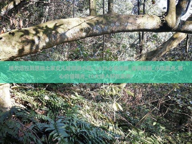 博尔塔拉到恩施土家女儿城旅游小吃