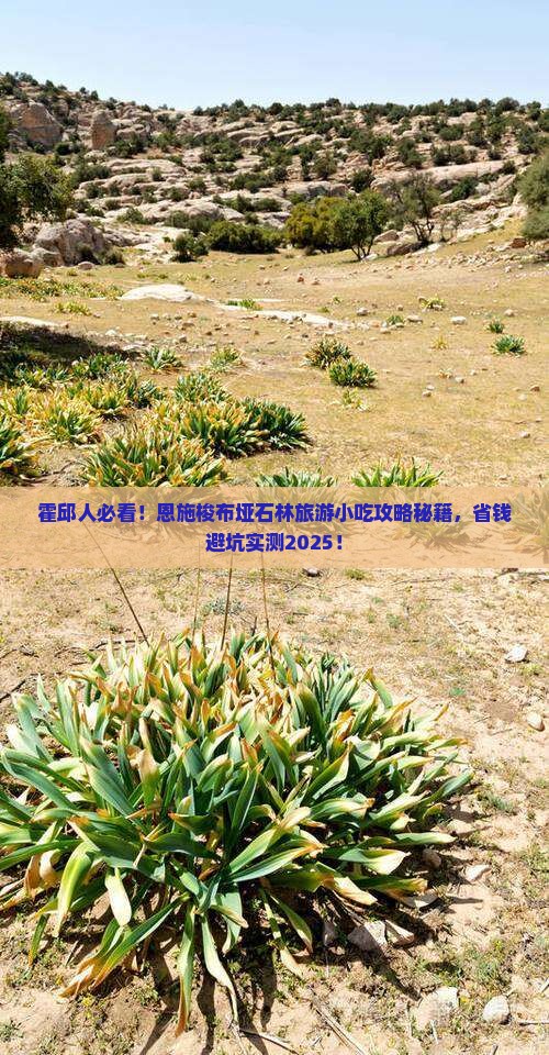 霍邱到恩施梭布垭石林旅游小吃