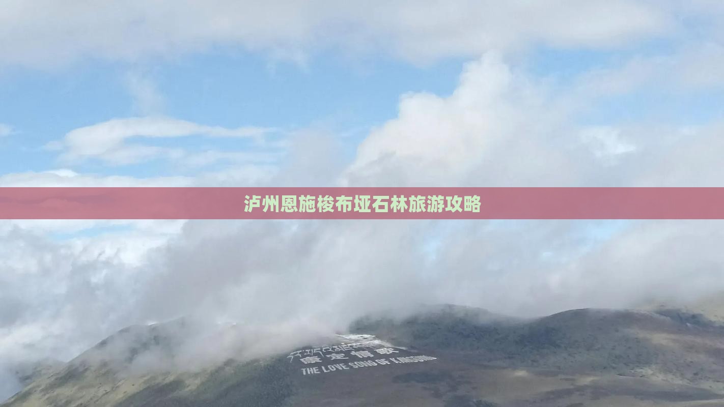 泸州去恩施梭布垭石林自由行