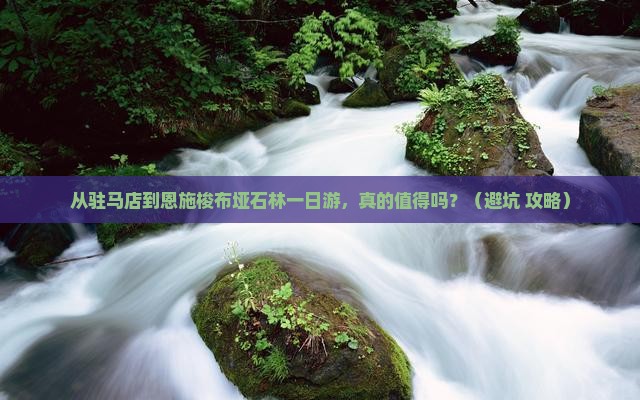驻马店到恩施梭布垭石林一日