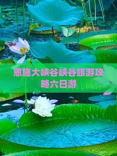 四月去恩施大峡谷六日游
