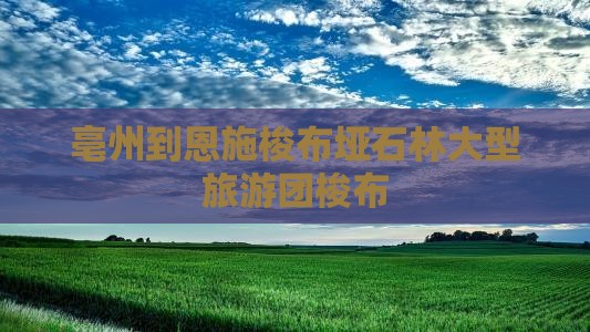 亳州到恩施梭布垭石林大型旅游团