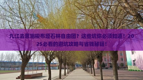 九江去恩施梭布垭石林自由团