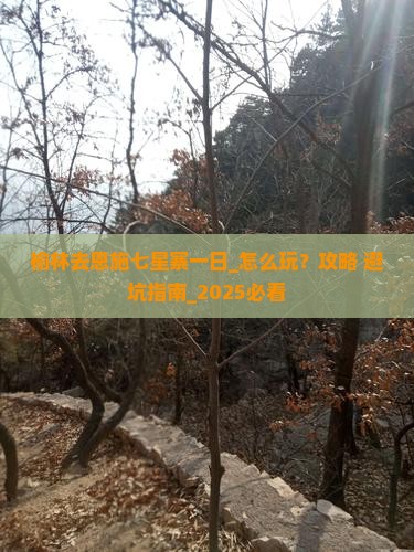 榆林去恩施七星寨一日