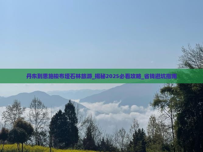 丹东到恩施梭布垭石林旅游