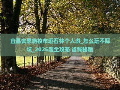 宜昌去恩施梭布垭石林个人游