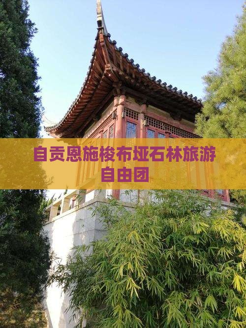 自贡去恩施梭布垭石林自由团