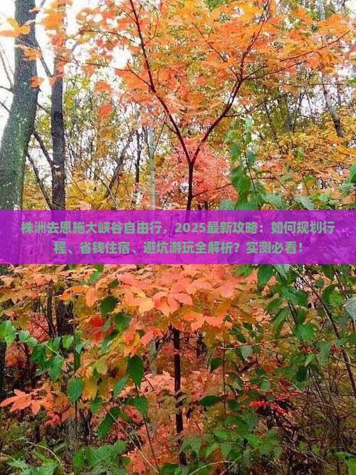 株洲去恩施大峡谷自由行
