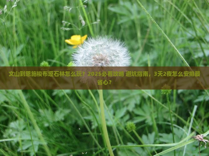 文山到恩施梭布垭石林旅行社