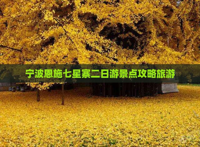 宁波去恩施七星寨二日游