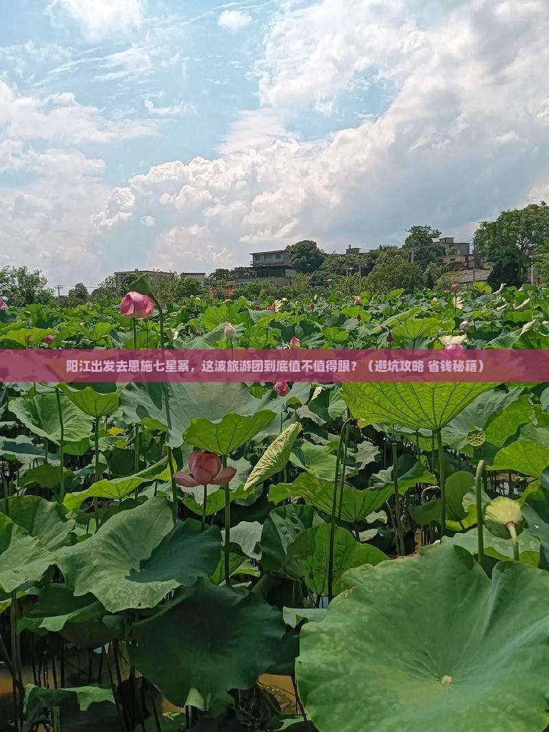 阳江到恩施七星寨大型旅游团 阳江到恩施七星寨大型旅游团