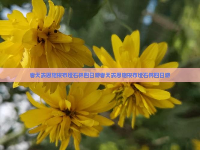 春天去恩施梭布垭石林四日游